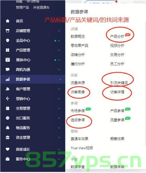 产品关键词加国家域名（产品关键词加国家域名什么意思），产品关键词加国家域名，解析产品关键词与域名的结合意义，产品关键词与国家域名的完美结合，解析其结合意义与策略