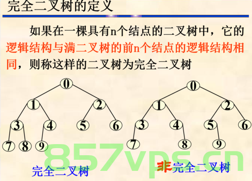 二叉树知识，二叉树概念与操作解析