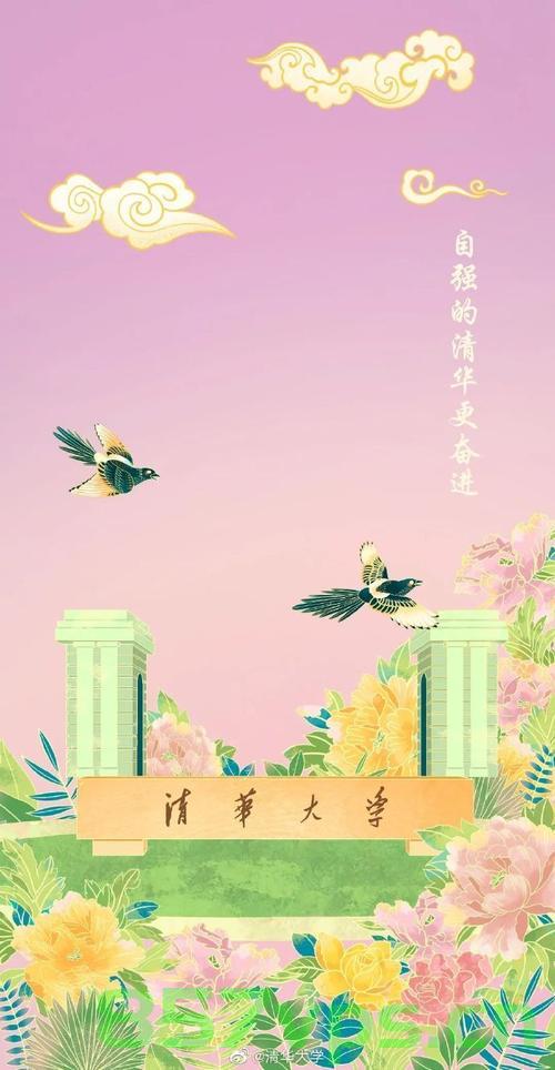清华大学域名的类型（访问清华大学的地址里,什么是主机名），清华大学域名解析，主机名的类型与访问方式
