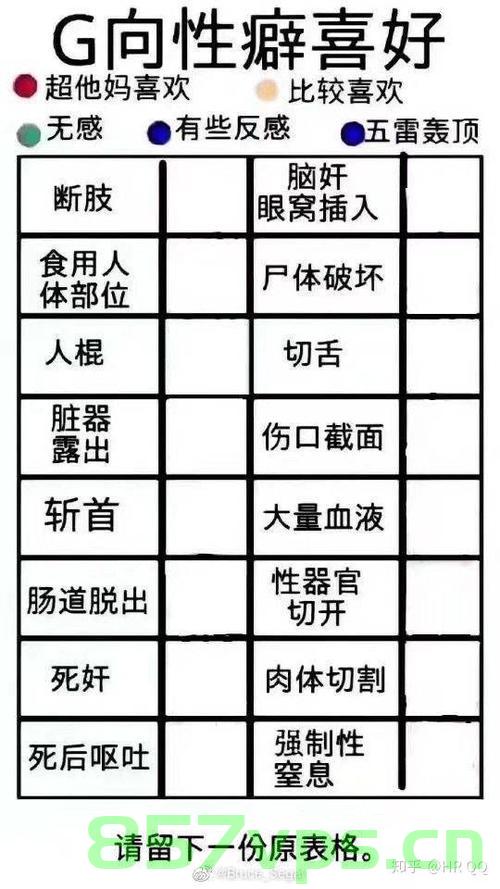 顶级域名指向详细说明教程（顶级域名指向详细说明教程是什么），顶级域名指向详解教程，步骤与说明，顶级域名指向详解教程，步骤与说明（包括域名指向说明及操作教程），顶级域名指向详解教程，步骤、说明与操作指南