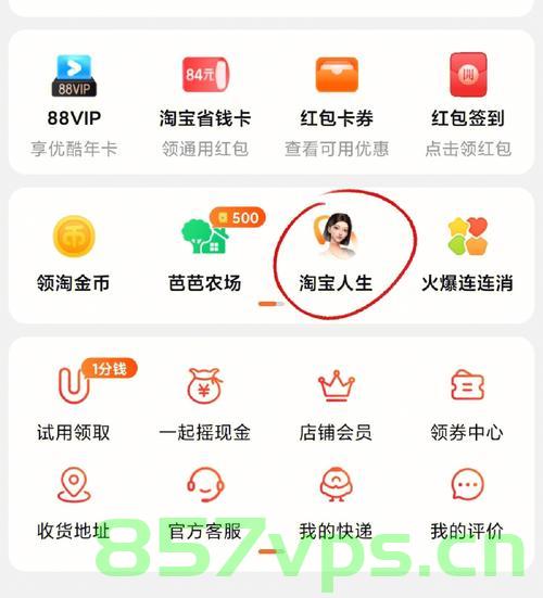 怎么看自己的淘宝店域名（怎么看自己的淘宝店域名是多少），如何查看自己的淘宝店域名？完整教程分享！，如何查看个人淘宝店域名，完整教程及域名解析分享！ 第2张