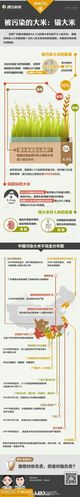 域名为什么会污染（域名被污染是不是就废了），域名污染解析，成因与后果（域名污染是否意味着失效？），域名污染解析，成因、后果及域名污染是否意味着失效？，域名污染解析，成因、后果及是否意味着失效？