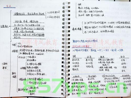 设计模式学习笔记 - 设计模式与范式 -行为型，11.迭代器模式（下），如何设计实现一个支持“快照”功能的Iterator，设计模式学习笔记，迭代器模式支持快照功能的实现与实现设计范式探讨，设计模式学习笔记，迭代器模式支持快照功能的实现与探讨——设计范式与行为型设计模式详解