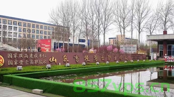 山东省建设职业教育集团网站（山东省建设职业教育集团网站首页），山东省建设职业教育集团网站首页介绍及功能概述，山东省建设职业教育集团网站首页介绍与功能概览，山东省建设职业教育集团网站首页介绍及功能概览，全面解析网站功能与特色，山东省建设职业教育集团网站全面介绍与功能概览，首页特色及教育资源的深度解析，山东省建设职业教育集团网站全面介绍与特色功能概览，首页及教育资源的深度解析，山东省建设职业教育集团网站全面介绍与特色功能概览，首页、教育资源深度解析及功能概览