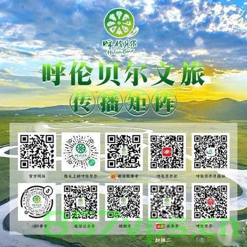 呼伦贝尔网站建设呼伦贝尔（呼伦贝尔市网），呼伦贝尔网站建设概览，呼伦贝尔市官方网站的发展与展望，呼伦贝尔网站建设概览，呼伦贝尔市官网的发展与展望，呼伦贝尔网站建设概览，呼伦贝尔市官网的发展与展望，呼伦贝尔网站建设概览，呼伦贝尔市官网的发展与展望，呼伦贝尔网站建设概览及官网未来发展展望，呼伦贝尔网站建设概览，官网发展回顾与未来展望，呼伦贝尔网站建设概览，回顾发展，展望官网未来发展之路，呼伦贝尔网站建设概览，回顾发展，展望呼伦贝尔市官网未来发展之路
