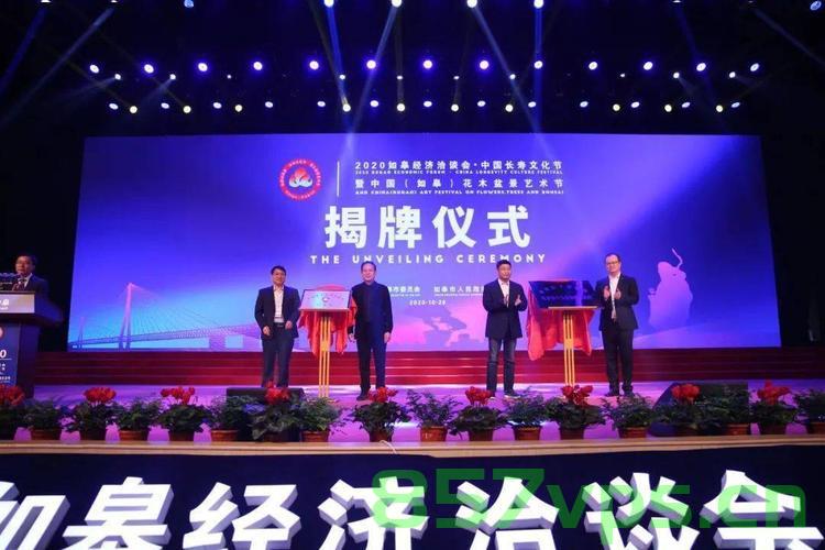如皋企业网站建设（如皋企业网站建设招标），如皋企业网站建设及招标详情