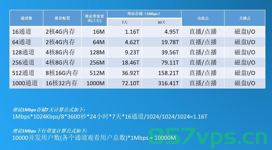 租用视频服务器需要多大带宽（租用视频服务器需要多大带宽够用），视频服务器租用，需要多少带宽才够用？，视频服务器租用，如何选择足够的带宽以满足需求？