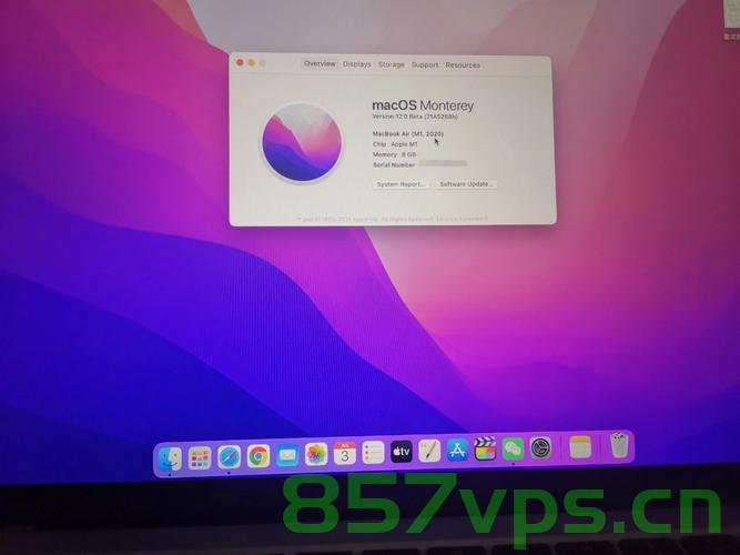 idea的macOS Apple Silicon (dmg)版本和macOS (dmg)版本有什么区别，macOS Silicon与常规macOS版本的区别解析，从dmg文件看差异，解析macOS Silicon与常规macOS版本的差异，从dmg文件看区别，从dmg文件解析，macOS Silicon与常规macOS版本的差异解析及对比 第2张