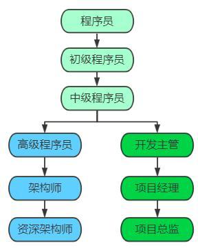 程序员如何晋级管理层，程序员晋级管理层的攻略与路径探索，程序员晋升管理层的攻略，探索晋级路径与策略，程序员晋升管理层的攻略，晋级路径、策略与探索，程序员晋升管理层的攻略，晋级路径、策略探索与实践经验分享