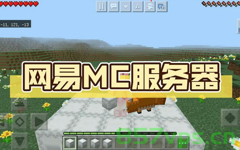 我的世界购买的服务器资料（我的世界购买的服务器资料怎么删除），关于我的世界购买的服务器资料，删除方法与注意事项，关于我的世界服务器资料购买、删除及注意事项详解，我的世界服务器资料购买与删除详解，购买流程、删除方法及注意事项全攻略！ 第2张