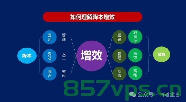 云优化，提升企业效率与成本效益的关键，云优化，企业效率与成本效益的枢纽提升策略