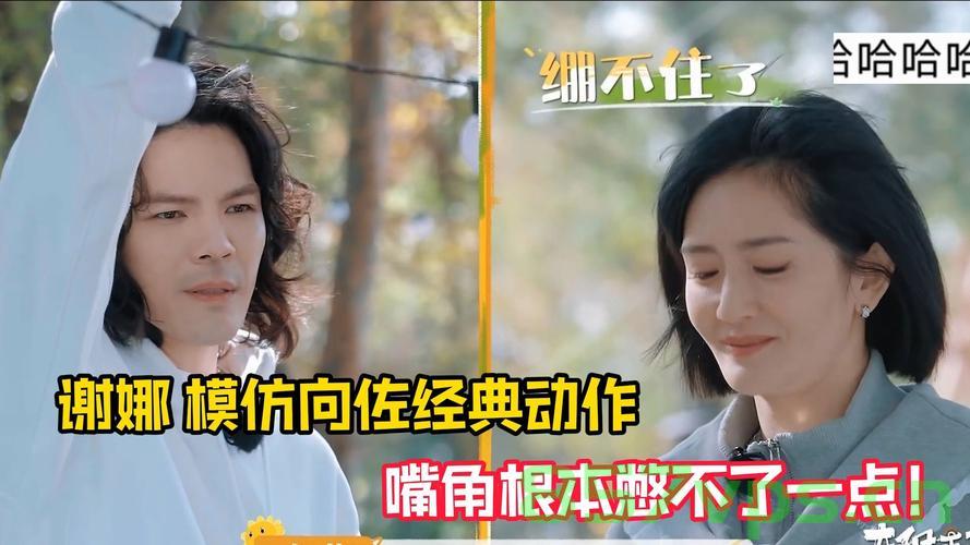 谢娜的特殊笑病，一看向佐，笑声难掩智能免费问答EasyAI m.857vps.cn，谢娜的特殊笑病与向佐，笑声背后的智能问答探索，谢娜的特殊笑病与向佐，笑声背后的智能问答探索之旅，谢娜的特殊笑病与向佐，笑声背后的智能问答探索之旅揭秘