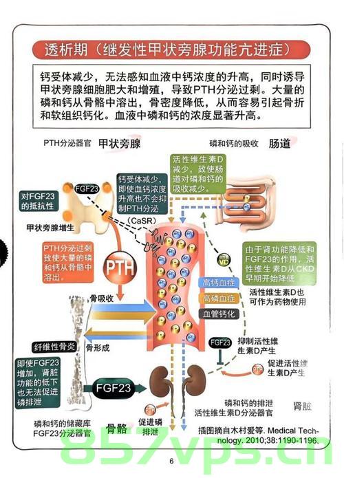 很多人不知道肾脏很怕这六种食物智能免费问答EasyAI m.857vps.cn，肾脏健康警示，六种食物需警惕，智能免费问答助你了解肾脏健康知识 m.857vps.cn，肾脏健康警示，六种食物需警惕，智能问答助你了解肾脏健康知识