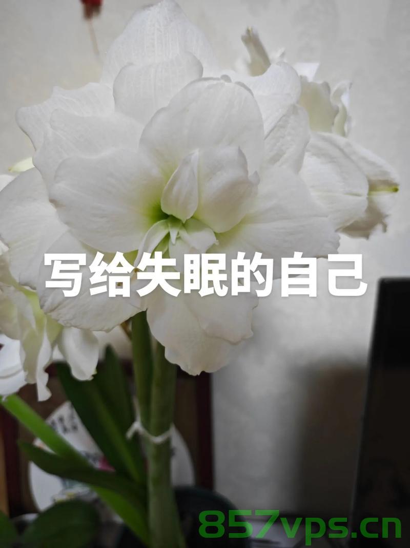 习惯晚睡的人是否需要调整作息？探究晚睡者的生活与健康智能免费问答EasyAI m.857vps.cn，习惯晚睡者的生活与健康智能问答，是否需要调整作息？，习惯晚睡者的生活与健康，是否需要调整作息？智能问答解析，习惯晚睡者的生活与健康，是否需要调整作息？智能问答解析。，习惯晚睡者的生活与健康，是否需要调整作息？智能问答解析。，习惯晚睡者的生活与健康，是否需要调整作息？智能问答解析，习惯晚睡者的生活与健康，是否需要调整作息？智能问答解析中心为您解答。 第2张