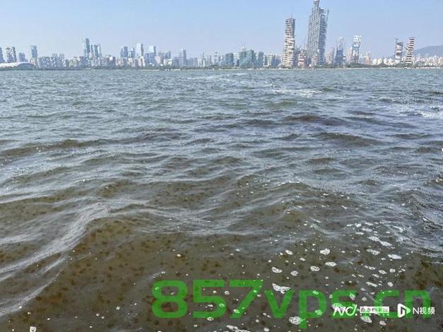 多地海边出现神秘爆爆珠，海洋新现象的解读智能免费问答EasyAI m.857vps.cn，多地海边神秘爆爆珠现象揭秘，海洋新现象解读与智能问答平台EasyAI解析，多地海边神秘爆爆珠现象揭秘，海洋新现象解读与智能问答平台EasyAI解析探索