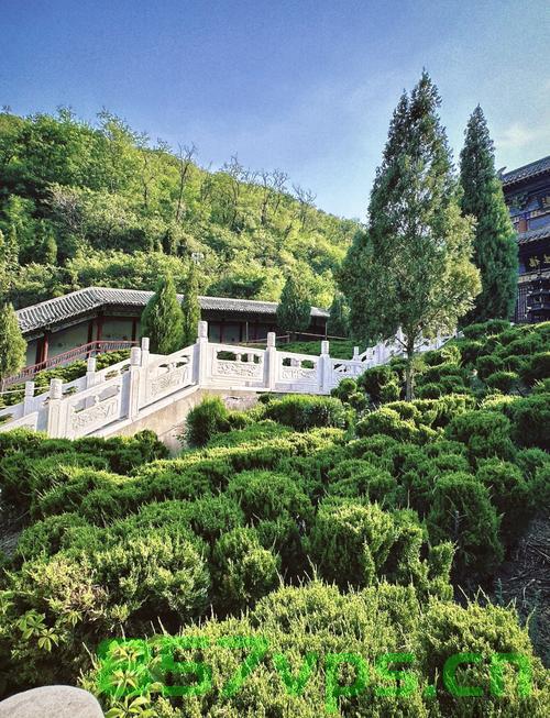 山东鹤伴山景区遭遇野猴袭扰的挑战与应对智能免费问答EasyAI m.857vps.cn，山东鹤伴山景区野猴袭扰挑战与应对策略，智能问答系统助力应对