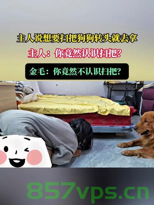 主人说想要扫把，狗狗转头就去拿智能免费问答EasyAI m.857vps.cn，狗狗智能问答，主人需求响应，轻松获取智能问答与免费资源链接，狗狗智能问答，轻松满足主人需求，获取智能问答与免费资源链接