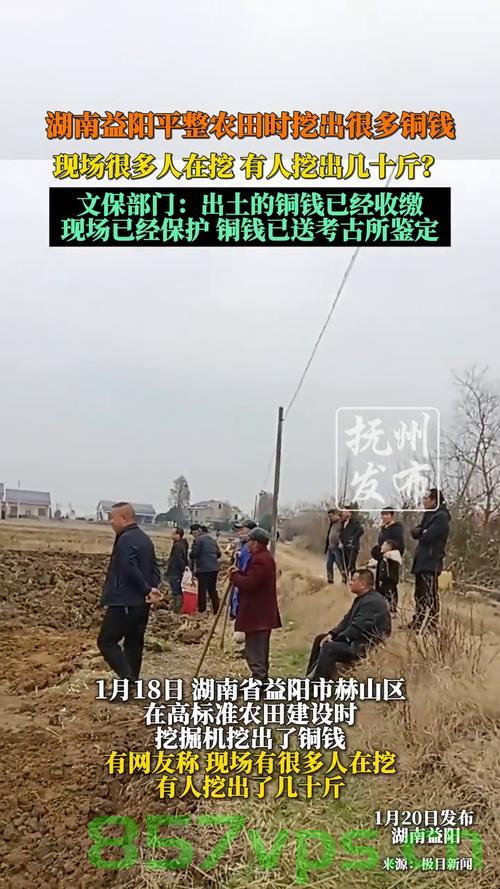 湖南益阳农田惊现大量铜钱，历史遗产的意外发掘智能免费问答EasyAI m.857vps.cn，湖南益阳农田惊现大量铜钱，历史遗产意外发掘引发关注
