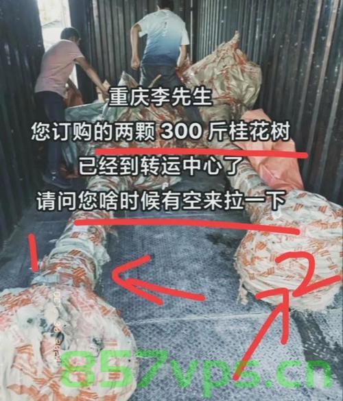 快递小哥的吐槽，网友扎堆疯狂下单现象的背后智能免费问答EasyAI m.857vps.cn，快递小哥的吐槽揭示疯狂下单背后的智能购物现象，快递小哥的吐槽揭示智能购物背后的疯狂下单现象解析，快递小哥的吐槽揭示智能购物背后的疯狂下单现象解析，现象深度剖析与反思，快递小哥的吐槽，智能购物背后的疯狂下单现象深度解析与反思，快递小哥的吐槽，智能购物背后的疯狂下单现象深度解析与反思