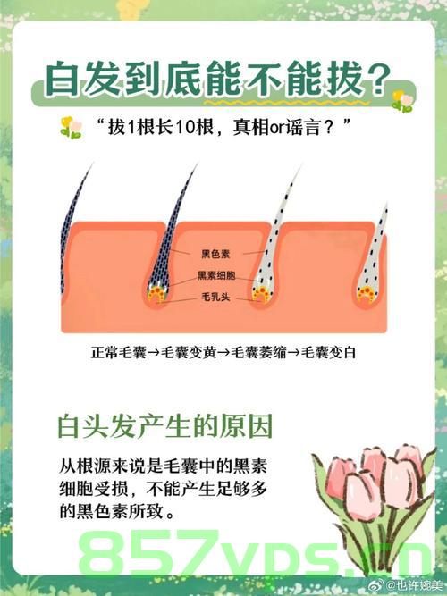 白头发到底能不能拔掉，探究白发与毛囊健康的关系智能免费问答EasyAI m.857vps.cn，白头发能否拔掉？探究白发与毛囊健康关系之谜