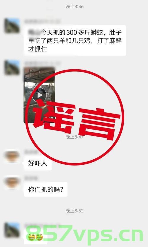 揭秘真相，关于碰下手机钱就会被盗的谣言智能免费问答EasyAI m.857vps.cn，揭秘手机钱被盗真相，关于EasyAI智能免费问答平台的谣言解析