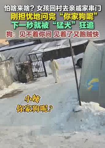 女孩去亲戚家串门遭遇猛犬狂追的惊险经历智能免费问答EasyAI m.857vps.cn，女孩串门遭遇猛犬狂追惊魂未定，亲戚家的惊险瞬间，女孩串门遭遇猛犬狂追惊魂未定，亲戚家的惊险瞬间揭秘 第1张