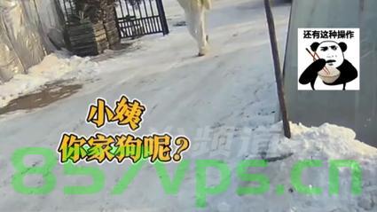 女孩去亲戚家串门遭遇猛犬狂追的惊险经历智能免费问答EasyAI m.857vps.cn，女孩串门遭遇猛犬狂追惊魂未定，亲戚家的惊险瞬间，女孩串门遭遇猛犬狂追惊魂未定，亲戚家的惊险瞬间揭秘 第2张