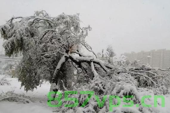 寒潮来袭，八省区面临大到暴雪及大雾天气的严峻挑战智能免费问答EasyAI m.857vps.cn，寒潮来袭，八省区面临恶劣天气挑战，大雪与大雾下的智能问答系统EasyAI应对方案解析 第2张