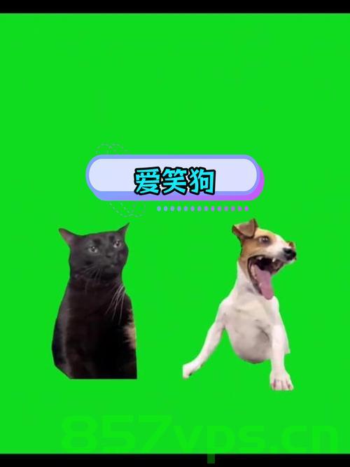 小孩哥与狗狗的欢乐作业时光，无法掩藏的笑容智能免费问答EasyAI m.857vps.cn，小孩哥与狗狗的欢乐作业时光，易智能问答下的快乐时光，小孩哥与狗狗的欢乐作业时光，易智能问答下的快乐时光体验，小孩哥与狗狗的欢乐作业时光，易智能问答下的快乐体验，小孩哥与狗狗的欢乐作业时光，易智能问答下的快乐体验之旅