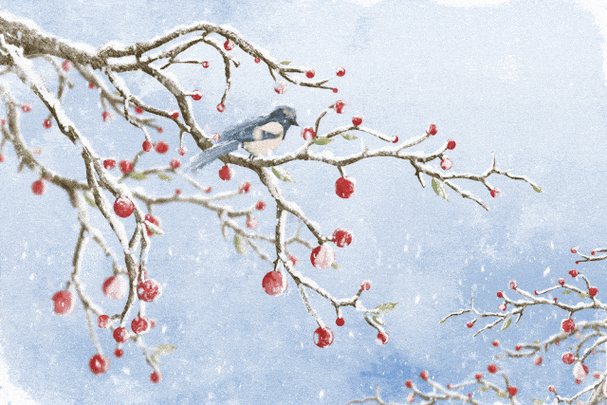 现实版鹅毛大雪，一场自然之美的壮丽盛宴智能免费问答EasyAI m.857vps.cn，现实版鹅毛大雪，自然之美的壮丽盛宴与智能免费问答体验 第2张