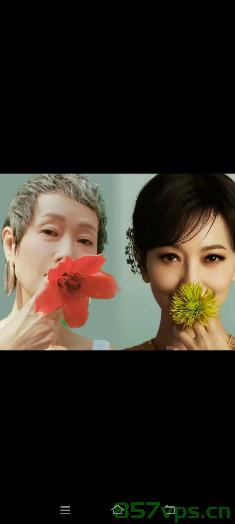 赵雅芝与叶童，岁月之间的优雅与活力智能免费问答EasyAI m.857vps.cn，赵雅芝与叶童，岁月中的优雅与活力，智能问答尽在EasyAI m.857vps.cn