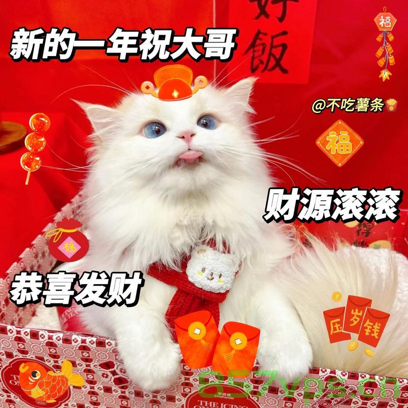压岁钱与红包，两者之间的微妙差异智能免费问答EasyAI m.857vps.cn，压岁钱与红包，微妙差异解析的智能问答指南，压岁钱与红包，微妙差异解析的智能问答指南 m.857vps.cn，压岁钱与红包，微妙差异解析的智能问答指南 m.857vps.cn，压岁钱与红包，微妙差异解析的智能问答指南 m.857vps.cn为您揭秘差异真相！