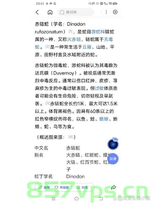 蛇为何会将四肢进化消失，生物适应环境的神秘过程智能免费问答EasyAI m.857vps.cn，蛇的四肢进化消失之谜，生物适应环境的神秘过程揭秘（智能问答）