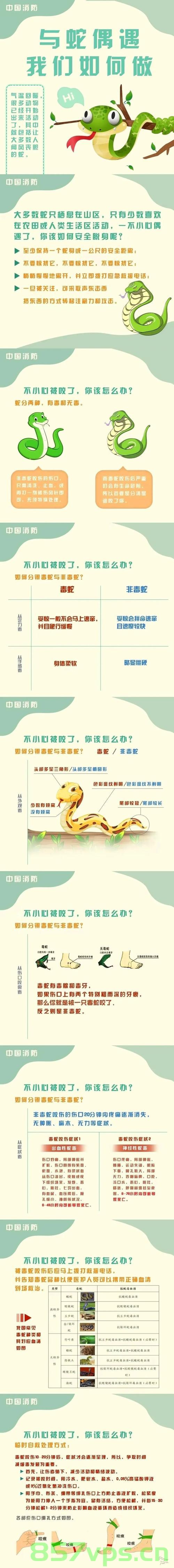 蛇为何会将四肢进化消失，生物适应环境的神秘过程智能免费问答EasyAI m.857vps.cn，蛇的四肢进化消失之谜，生物适应环境的神秘过程揭秘（智能问答） 第2张