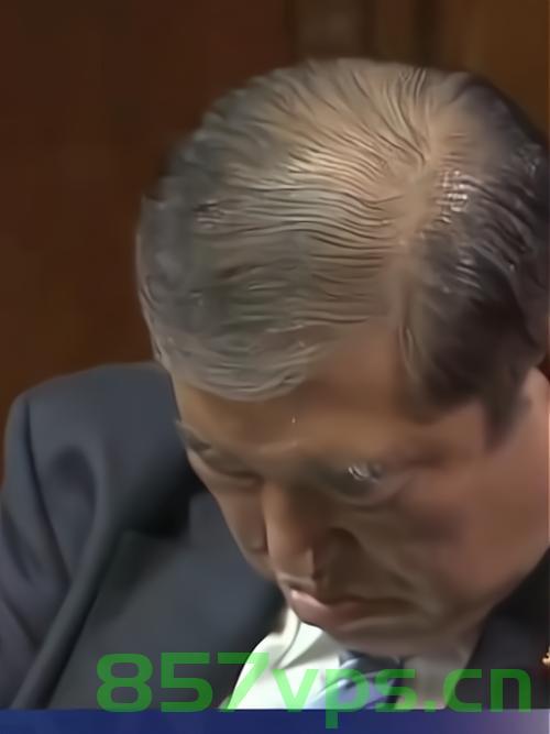 石破茂对特朗普关税说法的震惊反应智能免费问答EasyAI m.857vps.cn，石破茂对特朗普关税说法的震惊反应，智能问答解析与反响，石破茂对特朗普关税说法的震惊反应与智能问答解析反响揭秘 第2张