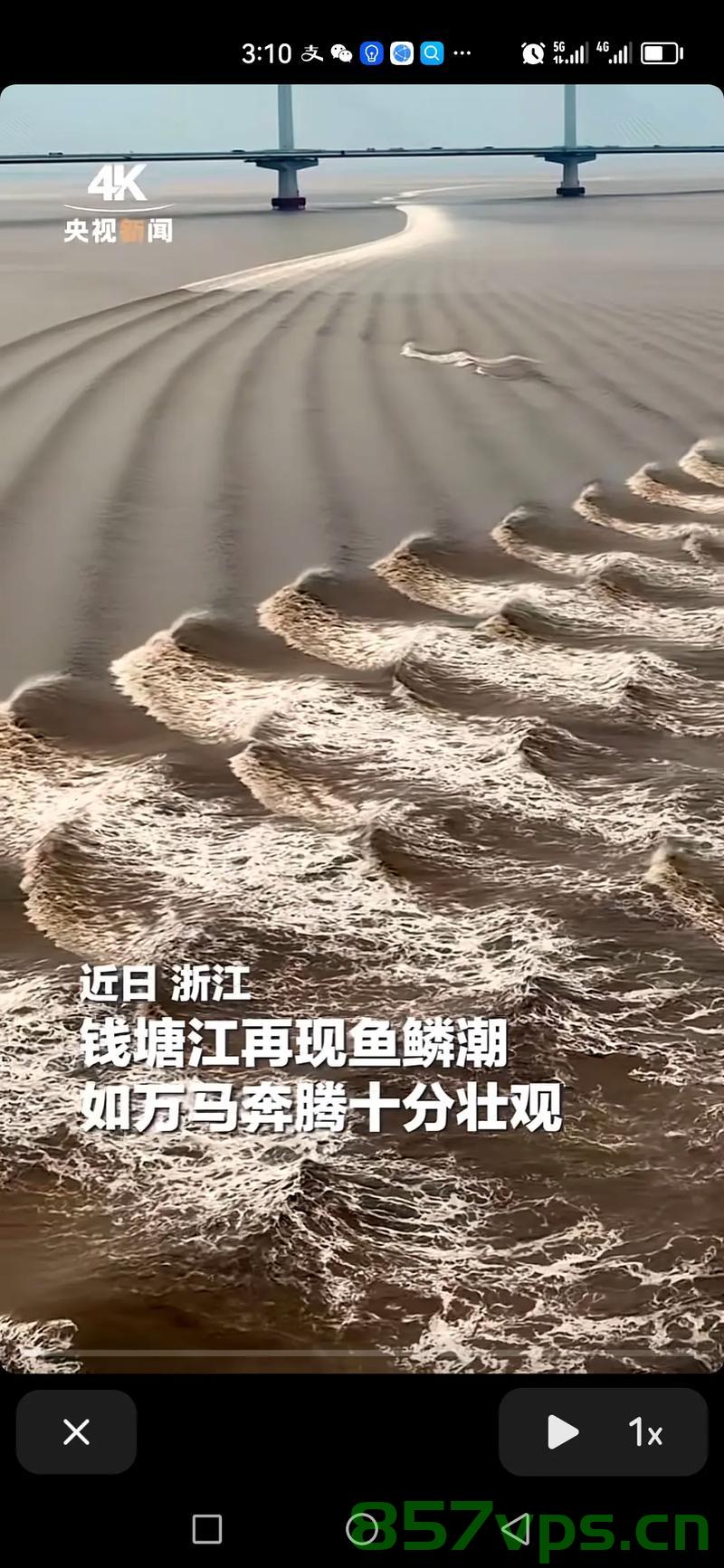 游客争睹钱塘江蛇年首个大潮，大潮背后的文化魅力与生态价值智能免费问答EasyAI m.857vps.cn，钱塘江蛇年首潮，文化魅力与生态价值的展现 m.857vps.cn，钱塘江蛇年首潮，文化魅力与生态价值的展现，游客争相观赏大潮背后的故事 m.857vps.cn