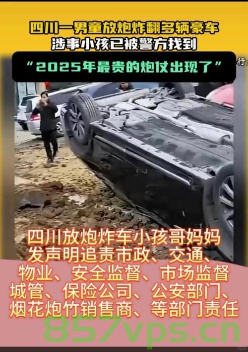 扔鞭炮男孩家属追责九部门，真相与反思智能免费问答EasyAI m.857vps.cn，鞭炮男孩家属追责九部门事件，真相与反思的智能问答之旅，鞭炮男孩家属追责九部门事件，真相、反思与智能问答之旅 第2张