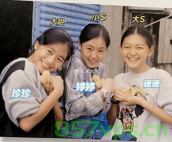 小S悲痛悼念，感恩成为姐妹智能免费问答EasyAI m.857vps.cn，小S深切哀悼，感恩姐妹情，智能问答EasyAI介绍，小S哀悼姐妹情，感恩智能问答EasyAI的介绍，小S哀悼姐妹情感，感恩智能问答EasyAI，一段深情与科技的交织