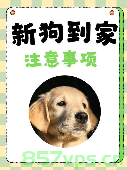 回乡后的狗子与归家之思智能免费问答EasyAI m.857vps.cn，回乡后的狗子与归家之思，智能问答EasyAI探索之旅