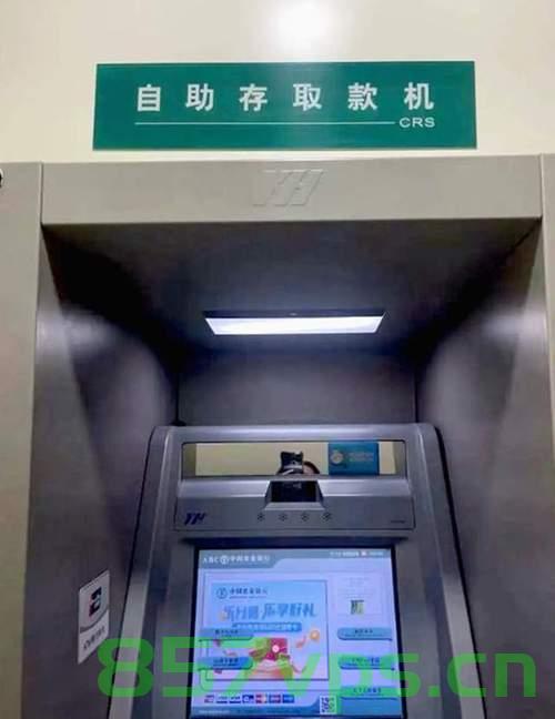 存压岁钱时意外发现ATM机满载智能免费问答EasyAI m.857vps.cn，存压岁钱时意外发现ATM机搭载智能问答EasyAI系统体验分享 第2张