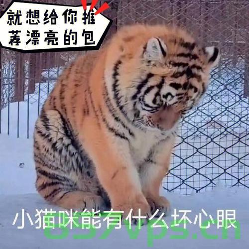 主人离家九日，猫咪水淹厕所引发欠费风波智能免费问答EasyAI m.857vps.cn，主人离家猫咪引发欠费风波，智能问答系统解析猫咪水淹厕所事件，主人离家猫咪引发厕所水淹风波，智能问答系统解析事件揭秘，主人离家猫咪引发厕所水灾，智能问答系统解析事件揭秘与欠费风波揭秘，主人离家猫咪引发厕所水灾事件揭秘，智能问答系统解析欠费风波与猫咪水淹厕所真相探索，主人离家猫咪引发厕所水灾事件揭秘，智能问答系统解析欠费风波与真相探索