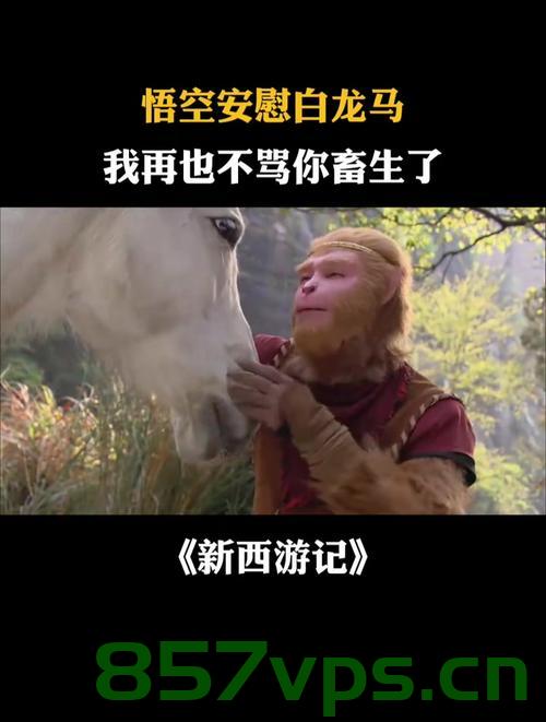 白龙马与主人的生死救援,英勇救人后的患难与共智能免费问答EasyAI m.857vps.cn,白龙马生死救援主人,英勇行动后患难与共的感人故事(智能问答解析) 第2张 白龙马与主人的生死救援,英勇救人后的患难与共智能免费问答EasyAI m.857vps.cn,白龙马生死救援主人,英勇行动后患难与共的感人故事(智能问答解析) 第2张