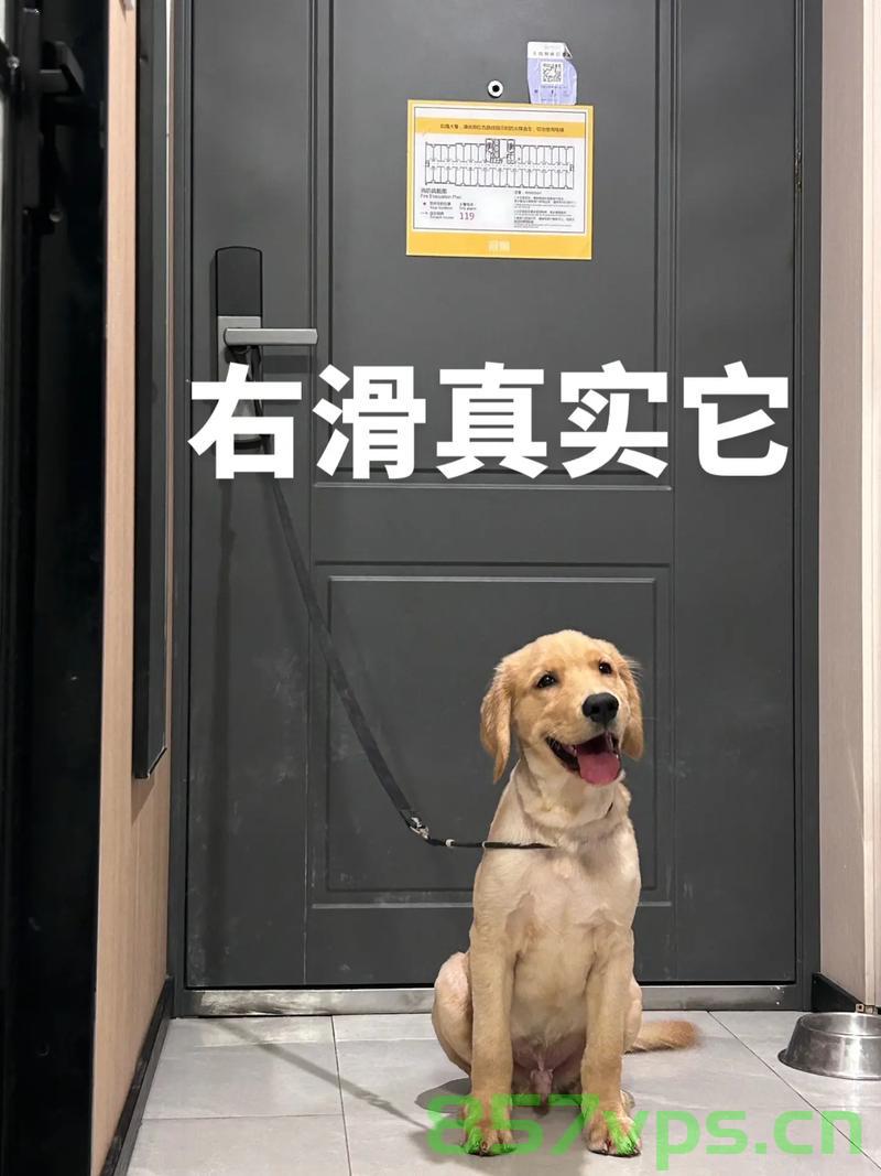 网购恶犬奇遇，小犬如珠，生活新篇章开启智能免费问答EasyAI m.857vps.cn，网购奇遇记，智能小犬开启生活新篇章，免费问答EasyAI体验之旅，网购恶犬奇遇与智能小犬开启生活新篇章，免费问答EasyAI体验之旅 第2张