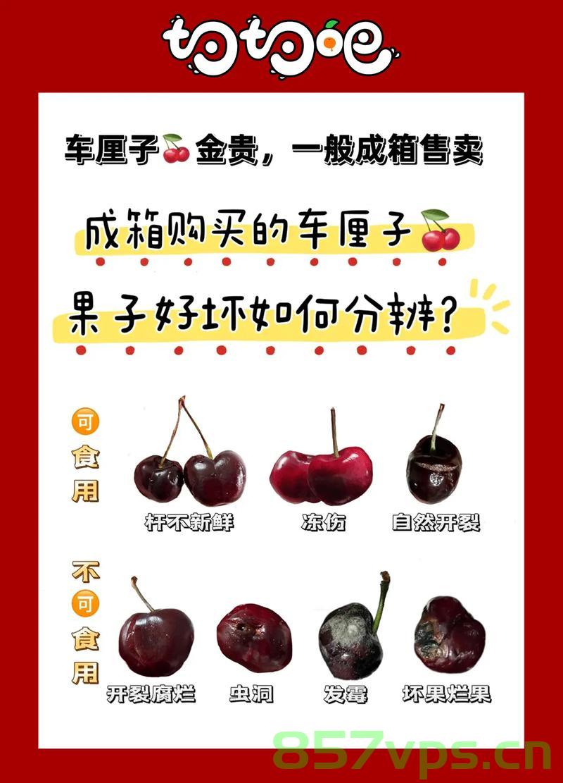 车厘子开始下架了，回顾其季节的魅力与影响智能免费问答EasyAI m.857vps.cn，车厘子季节落幕之际，回顾其魅力与影响，智能问答平台EasyAI解析