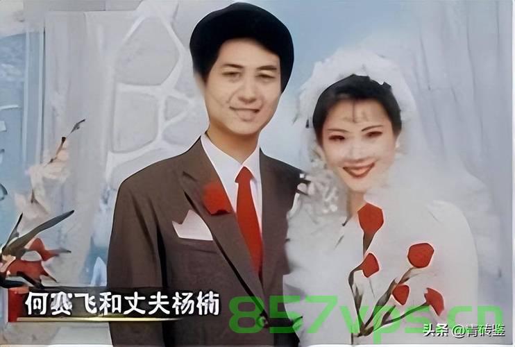 丁克婚姻二十年背后的秘密，丈夫竟和别人生子智能免费问答EasyAI m.857vps.cn，丁克婚姻二十年背后的惊人真相，丈夫与他人育子揭秘，丁克婚姻二十年背后的惊人真相，丈夫与他人育子的秘密揭秘 第2张