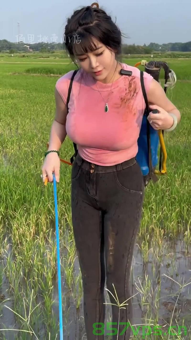 女子浇地后小麦全冻住，一次意外的农业挑战与应对之道智能免费问答EasyAI m.857vps.cn，女子浇地后遭遇小麦全冻，农业挑战下的应对之道与智能问答平台解析 —— 来自EasyAI的免费帮助 第2张