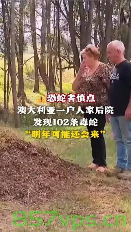 澳一男子后院惊现百条毒蛇，一次惊心动魄的遭遇智能免费问答EasyAI m.857vps.cn，澳男子后院惊现百条毒蛇，惊心动魄的遭遇，澳男子后院惊现百条毒蛇，惊心动魄的遭遇揭秘，澳男子后院惊现百条毒蛇，惊心动魄的遭遇揭秘！