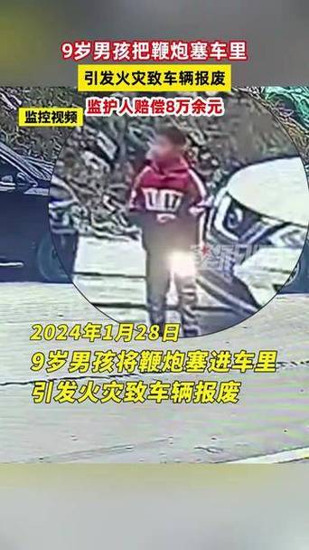 男孩扔鞭炮烧车事件，监护人被判全责的警示与反思智能免费问答EasyAI m.857vps.cn，男孩鞭炮烧车事件，监护人全责警示与反思的智能问答解析