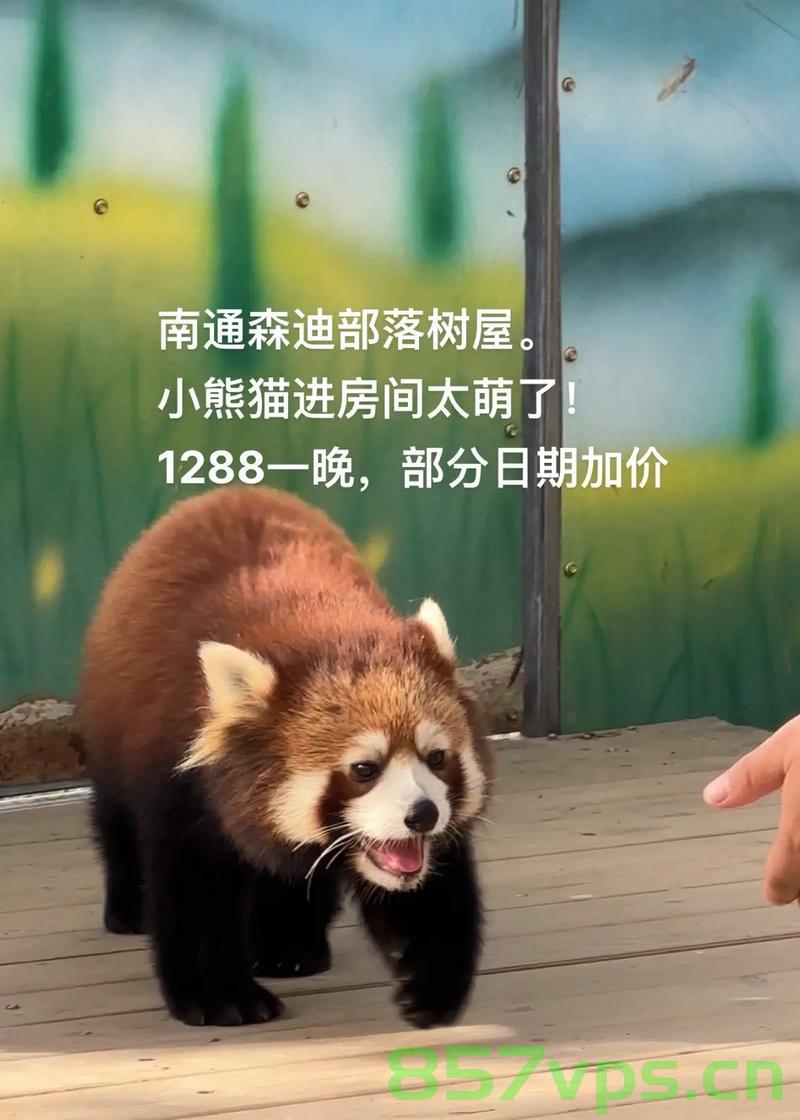 男子住动物园酒店遭遇小熊猫袭击，不幸受伤智能免费问答EasyAI m.857vps.cn，男子动物园酒店遭遇小熊猫袭击受伤事件，智能问答揭示真相，动物园酒店男子遭遇小熊猫袭击受伤事件真相揭秘，智能问答探寻真相，动物园酒店男子遭遇小熊猫袭击事件真相揭秘，智能问答探寻事件真相，动物园酒店男子遭遇小熊猫袭击事件真相揭秘，智能问答探寻事件真相，动物园酒店男子遭遇小熊猫袭击事件真相揭秘，智能问答探寻事件真相全程回顾，动物园酒店男子遭遇小熊猫袭击事件真相揭秘，智能问答探寻事件全程回顾