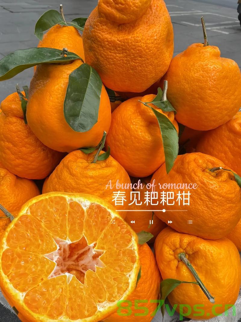 探究耙耙柑的甜蜜，是否使用了退酸剂？记者的深度调查智能免费问答EasyAI m.857vps.cn，揭秘耙耙柑甜蜜背后的秘密，退酸剂真相深度调查
